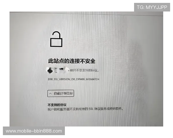 bbin浏览器手机版安全性分析与隐私保护措施，保障用户上网安全