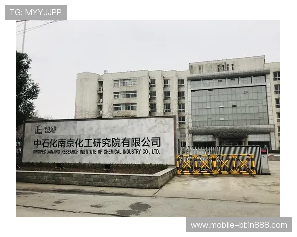 bbin波音集团公司应对行业挑战的战略措施与发展规划