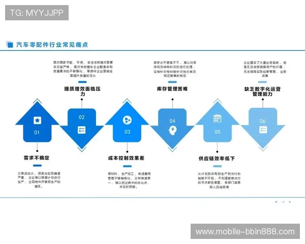bbin直营网被审核事件对平台运营的影响及未来发展趋势