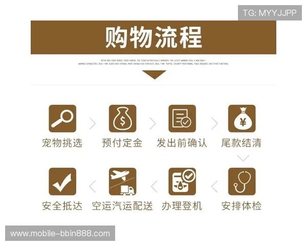 快速找到BBIN地址平台官方入口，享受稳定安全的线上娱乐体验