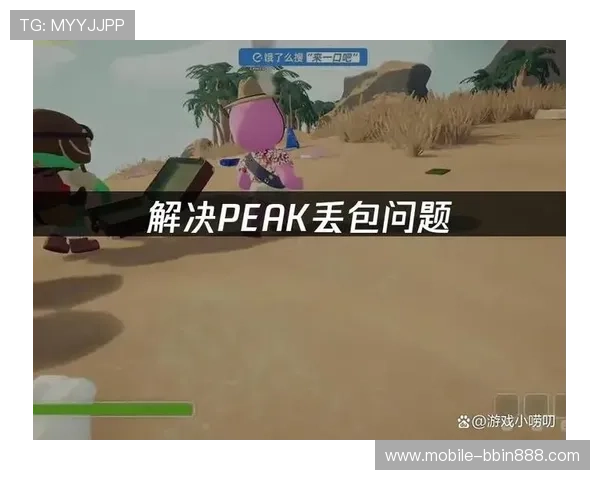 bbin客户端下载端常见故障排查与维护指南，保障您的游戏稳定性与安全性